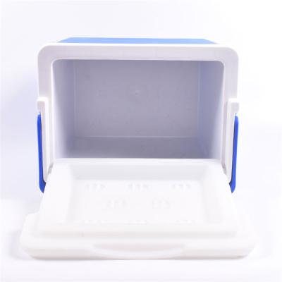 China New Product Factory Cheap Custom Waterproof Blu-ray Supplier 10 Liter EPS Incubator Folding Ice Cooler for sale