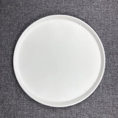 China Bagasse X28 Promotion 15%off bio degradable sugarcane bagasse pizza plate biodegradable disposable placa for sale