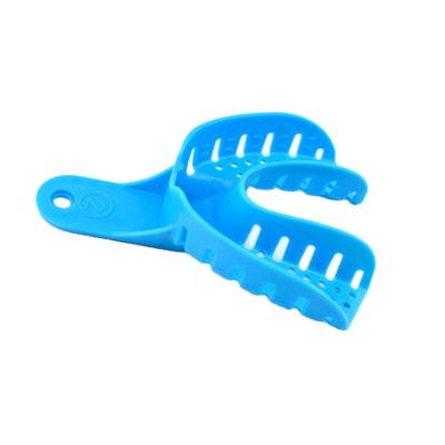 China 2022 Disposable Blue Dental Impression Material Dental Kit Dental Alginate Impression Tray Endodontic Regional Popular Dental for sale