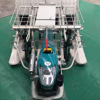 China Planting Machine Manufacturer Customized High Efficiency Energy Saving Hand Held Precision Rice Tiller for sale