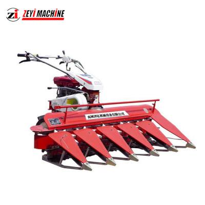 China Affordable tea leaf rice cutter for cutting a variety of plants using a direct shaft drive cultivator for sale