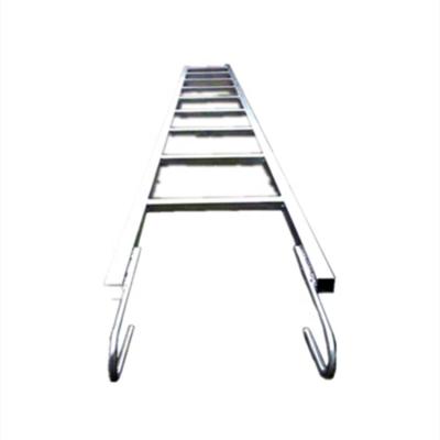 China Manufacturing Industrial Supplier Chinese Competitive Price Hot Selling Pre-galvanized Scaffolding Construction Scaffolding Monkey Ladders for sale