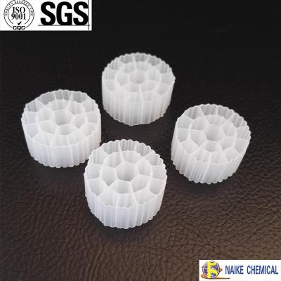 China Factory Wholesale Koi Pond Filter Media 25*10mm For Promotion for sale