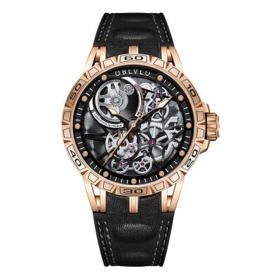 China Water Resistant OBLVLO Luxury Brand Classic Stainless Steel Fully Wristwatch Skeleton Men Automatic Mechanical Watch for sale