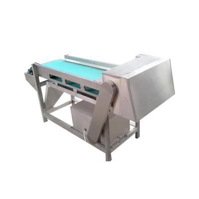 China Cutting Height Adjustable Automatic Vegetable ZW-901 Mushroom Greens Slicer Machine for sale