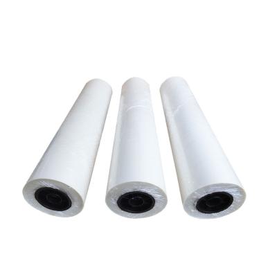 China Textiles Transfer Heat Transfer DTF PET Film A3 White Roll 30cm 60CM PET filme dtf heat transfer vinyl for sale