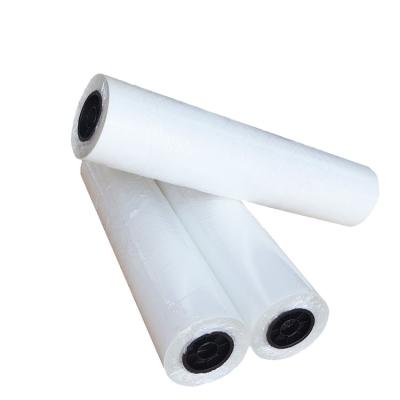 China Textiles Transfer 30cm 60cm Width Roll To Roll Textile Blank Pet Heat Transfer Printing Film for sale