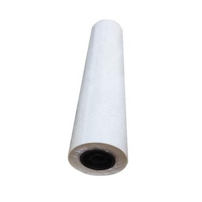 China Textiles transfer 30cm 60cm a3 100m roll pet film heat press transfer film for DTF transfer printing for sale