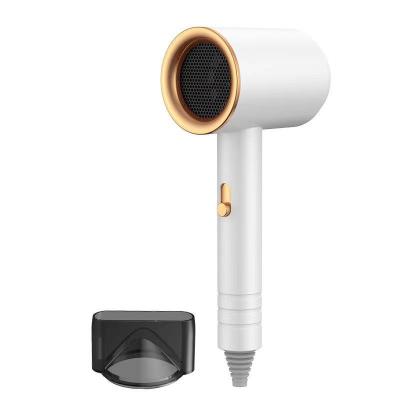 China Other Standing Helios Salon Brush Negative Ion Rechargeable Leafless Professional Hair Dryer for sale