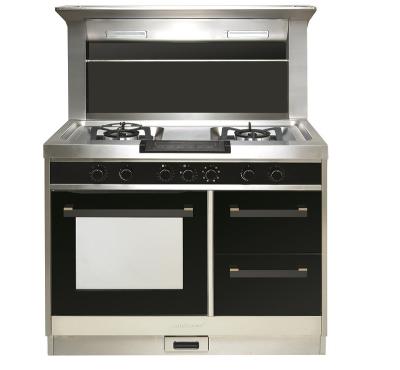 China Outdoor Free Standing Integrate Free Standing Cooker Gas Stove Electric Built In Oven for sale