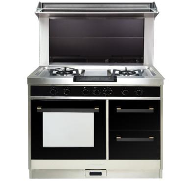 China Outdoor Free Standing Integrate Free Standing Cooker Stove Electric Built In Oven for sale