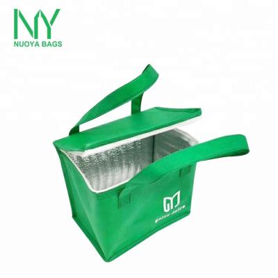 China Wholesale Promotional Custom Footprint Portable Ice Cooler Eco-friendly Nonwoven Bag Waterproof Insulated for sale