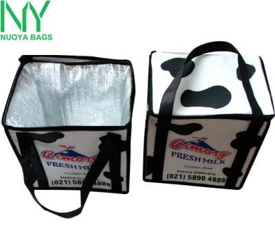 China Best Selling Waterproof Nonwoven Food Cooler Bag For Outdoor Use for sale