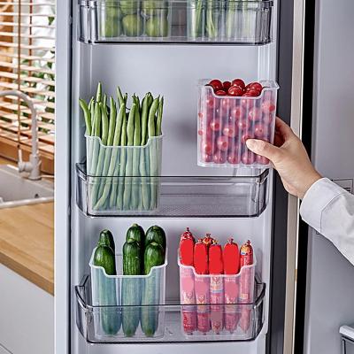 China Viable Food Storage Box Refrigerator Side Door Fruit Vegetable Spice Food Crate Container Kitchen Fresh Organizer Storage Boxs for sale