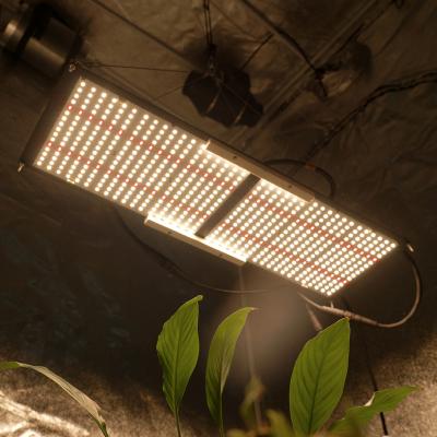 China Seed Starting 240W lm301b v2 660nm Full Spectrum 240 Watt Factory Samsung Indoor Growing Panels Led Grow Light for sale