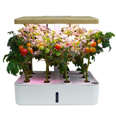 China Desktop Minigarden 12 Pods System Hydroponic Growing Herb Garden Kit Fruits Flower Indoor Vegetable LED Grow Light for sale