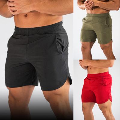 China 2022 QUICK DRY Hot Sale In Running Item Jogging Pants Eco-Friendly Summer Shorts Smart Casual Shorts for sale