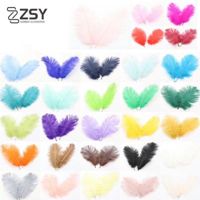 China Factory Directly Cheap 15-20cm Colorful Ostrich Feathers From Decorations ZSY China Manufacturer For Sale for sale