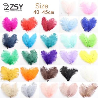 China Cheap decorations ZSY 40-45 cm big white ostrich colors artificial ostrich feathers for sale for sale