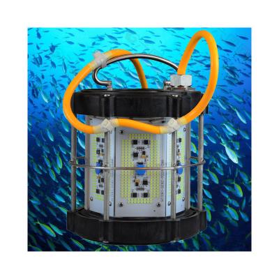 China 316 Stainless Steel Hotsale Led Deep Sea Fishing Light 1000W LED Fishing Light Luring Green White  Fish Light for sale