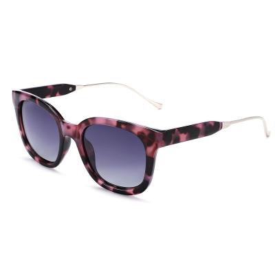 China 2022 Leopard Pattern Sunglasses Amazon Hot Sales Oversized Square Sunglasses Rectangle Retro With Glass Cloth For Women for sale