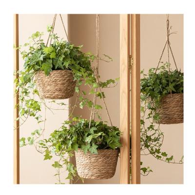 China Durable Hot Sale Durable Woven Wall Cotton Rope Planter Storage Plastic Waterproof Coating Hanging Basket for sale