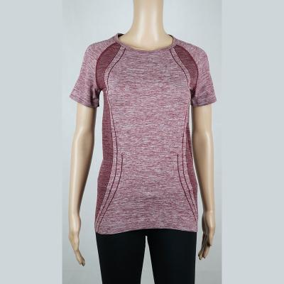 China Breathable Ladies Sportswear Factory OEM Service Ladies Seamless Fitness Tops for sale