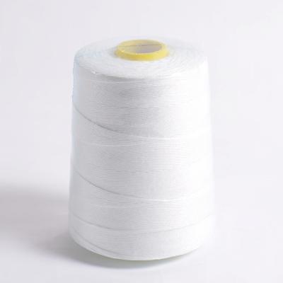 China Closing Thread Bag Factory High Temperature Resistant 30 Years Spun Polyester Sewing Thread 10S 20S 30S for sale