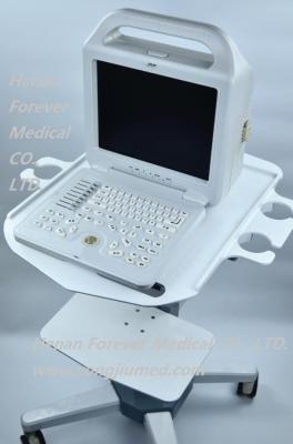 China Factory Price Ultrasound Probe Laptop Ultrasound With Low Price for sale