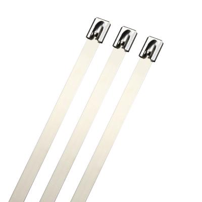 China Containment Cables High Quality Stanles Streping Tape 4.6*150 Stainless Steel Cable Ties Factory Direct Sales 304 for sale