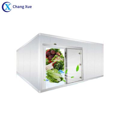 China Hotels Walk In Refrigerator Cool Room Fish Cool Room Mini Freezer Cold Storage for sale