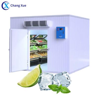 China Hotels Fruit Condenser Cold Storage Machine 5 Ton Freezer for sale