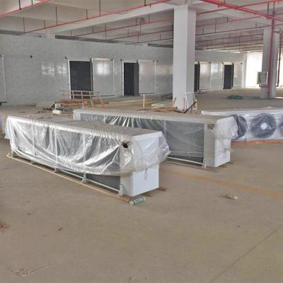 China 100 ton cold storage room price ecofrost cold storage project hotels factory cost cold room manufacturer for sale