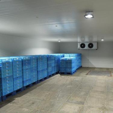 China Hotels Cold Storage Plant Walk In Freezer Chillers Cool Room Coldroom Cold Storage Cold Room for sale