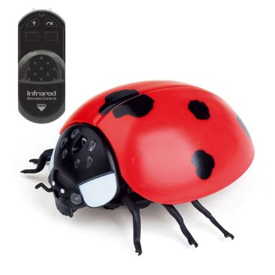 China Safety Infrared Remote Control Pet Toy Smart RC Insect Fly Animal Bee Ladybird Bee Ladybird Educational Rc Insect Toys For Kids for sale