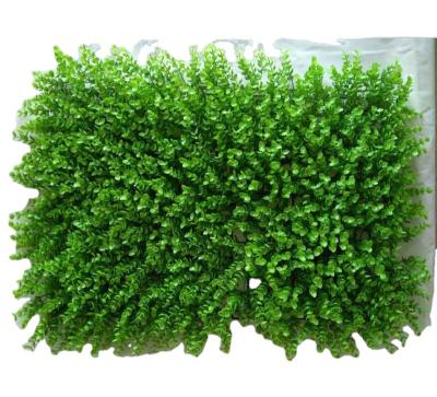 China Casual Home Decorative Synthetic Grass Plant Wall for sale