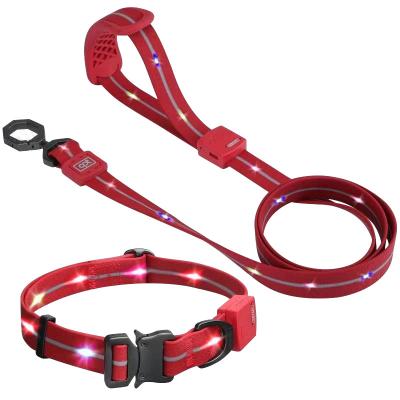 China New Arrival Light Up Lights Reflective Dog Lighting LED USB Rechargeable Lead Coated PVC Strap Led Dog Leash Collar Set for sale