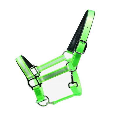 China Halter New Arrival PVC Coated Reflective Adjustable Zinc Alloy Webbing Clip Padded Horse Halter for sale