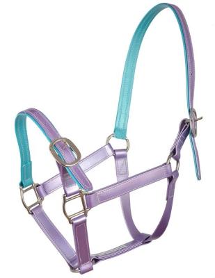 China Halter Custom Design Horse Leather Head Gear Equestrian Leather Collar Halter Halter With Soft Padding for sale