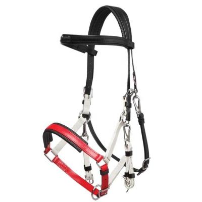 China PVC Horse Halter Accessories Resistance Adjustable Halter And Halter For Horse for sale