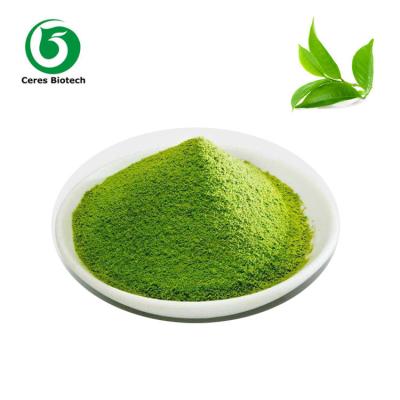 Chine Poudre verte organique pure de Matcha d'OEM pour la boisson 300 - 2000mesh à vendre