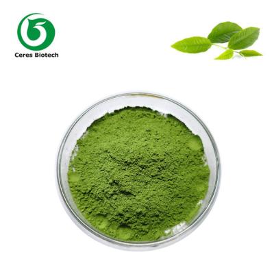 China Etiqueta privada de muestra gratuita de polvo de té verde matcha ceremonial orgánico en venta