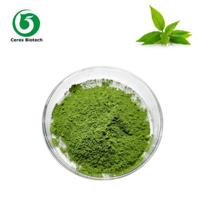 China Polvo orgánico del té verde de Matcha del sabor natural para los ingredientes de lujo en venta