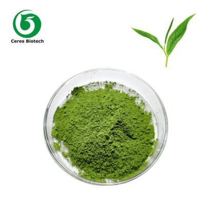 China El polvo delgado orgánico puro del té verde de Matcha del 100% certificó 1000 - 2000mesh en venta