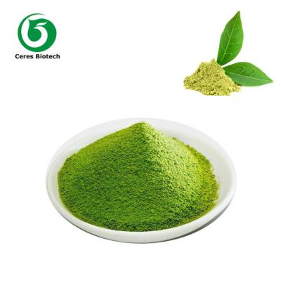 Chine Extrait de poudre de thé vert de Matcha de 2000 mailles pour la nourriture et la boisson à vendre