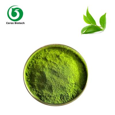 China Polvo orgánico puro del té verde de Matcha del colorante natural para cocer en venta