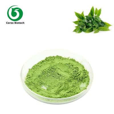 Chine Nouvelle poudre crue de matcha de thé vert sûre d'Ealthy pour la boisson culinaire à vendre