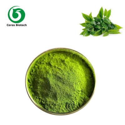 China Polvo de té verde matcha ceremonial ISO grado orgánico AA en venta