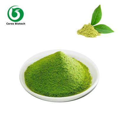 China Producto de pérdida de peso de polvo Matcha de té verde instantáneo de suplemento saludable fresco en venta