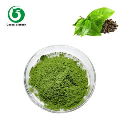 China Ceremony té verde orgánico Matcha en polvo grado AAA- AAAAA a granel en venta